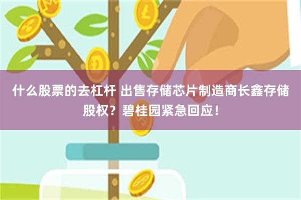 什么股票的去杠杆 出售存储芯片制造商长鑫存储股权？碧桂园紧急回应！