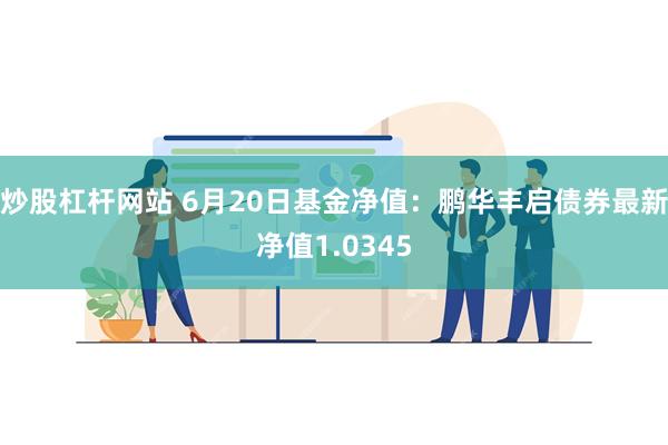 炒股杠杆网站 6月20日基金净值：鹏华丰启债券最新净值1.0345