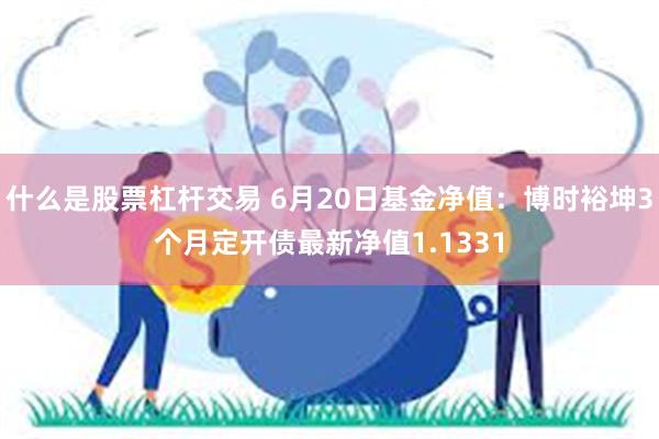 什么是股票杠杆交易 6月20日基金净值：博时裕坤3个月定开债最新净值1.1331