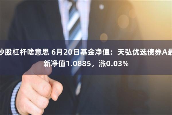 炒股杠杆啥意思 6月20日基金净值：天弘优选债券A最新净值1.0885，涨0.03%