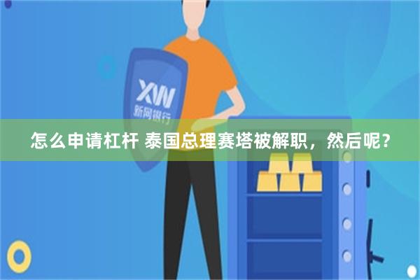 怎么申请杠杆 泰国总理赛塔被解职，然后呢？